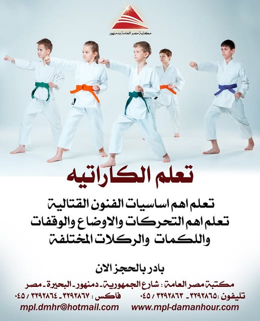 فنون الكاراتيه